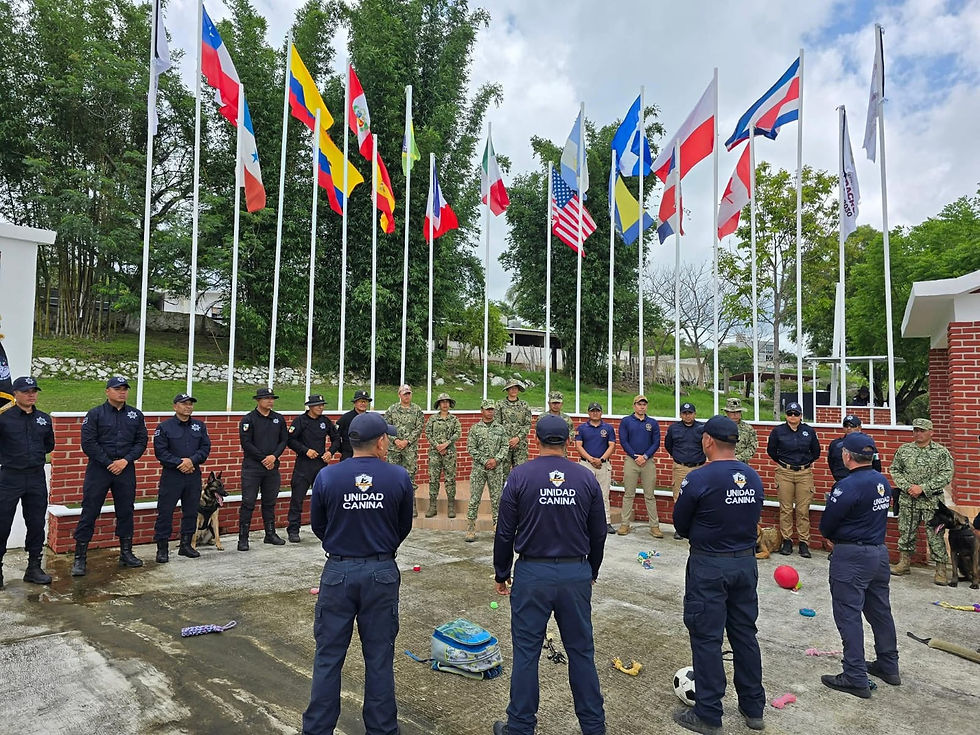 PARTICIPAN BINOMIOS CANINOS DE LA POLICÍA MUNICIPAL EN DIPLOMADO TÁCTICO EN VERACRUZ