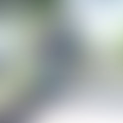 REALIZA MUNICIPIO OPERATIVO DE LIMPIEZA EN TERCER ANILLO AL PONIENTE DE LA CIUDAD