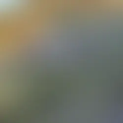 HOMBRE TERMINA LESIONADO TRAS VOLCARSE EN LA CARRETERA 43