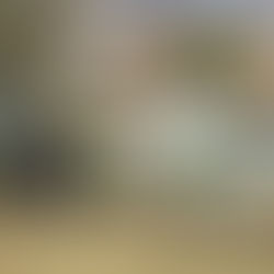 MUNICIPIO DE AGUASCALIENTES EJECUTA MEGA OPERATIVO DE LIMPIEZA EN EL SURORIENTE DE LA CIUDAD