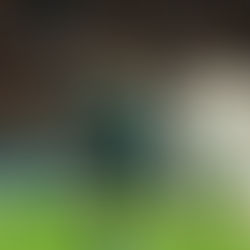 CHAMPIONS LEAGUE LAS CLAVES DEL TRIUNFO DEL MANCHESTER CITY SOBRE EL REAL MADRID