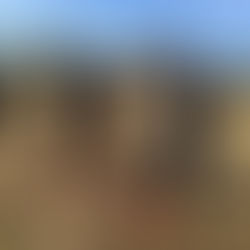 FORTALECE SEMADESU ACCIONES DE LIMPIEZA Y CONSERVACIÓN DE CAUCES NATURALES