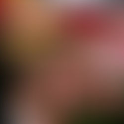 EN AGUASCALIENTES LAS MUJERES TIENEN APOYO INCONDICIONAL PARA QUE CUMPLAN SUS SUEÑOS