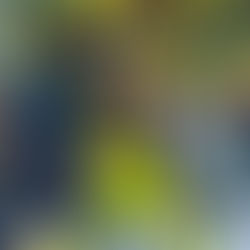  CON MUCHOS APUROS AMÉRICA AVANZA