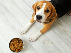 PIDE PAN TASA CERO PARA ALIMENTOS DE MASCOTAS