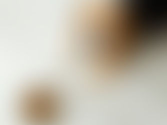 PIDE PAN TASA CERO PARA ALIMENTOS DE MASCOTAS