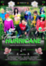 Hurricane Poster 70x100 v7 copy.jpeg