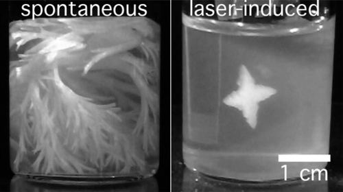 NPLIN agarose glycine.gif