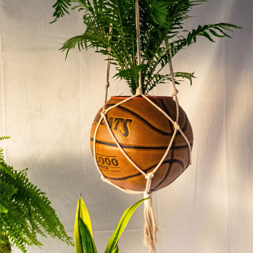 縮圖：球類植栽訂製