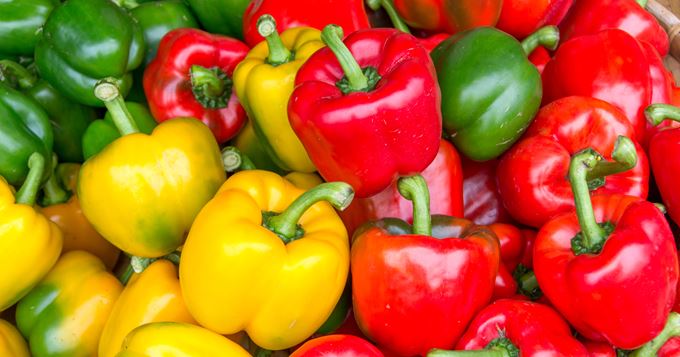 Arranged Food and Objects