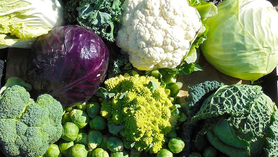 Arranged Food and Objects