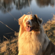 Lusky