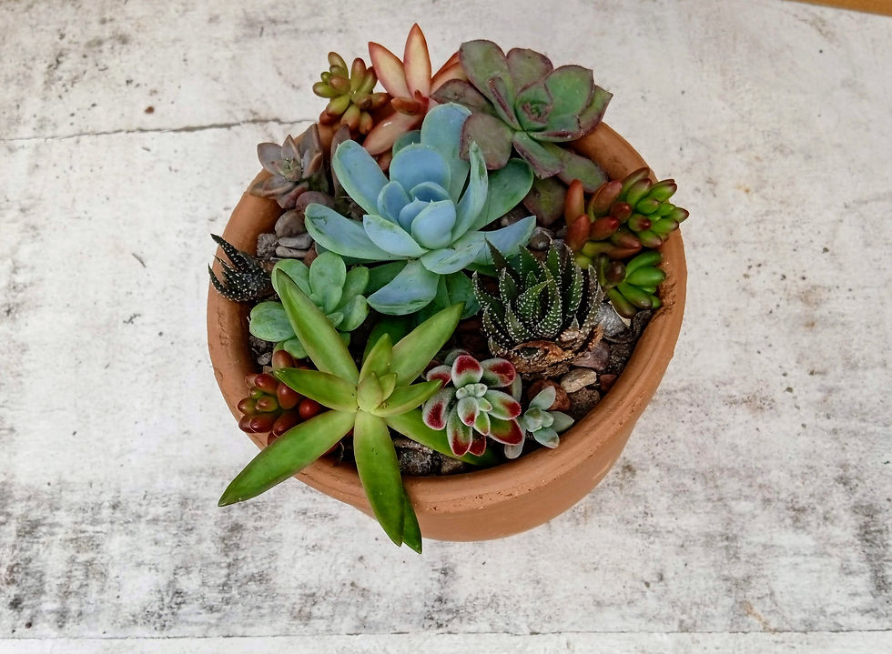 Miniatura: Centro de mesa alto