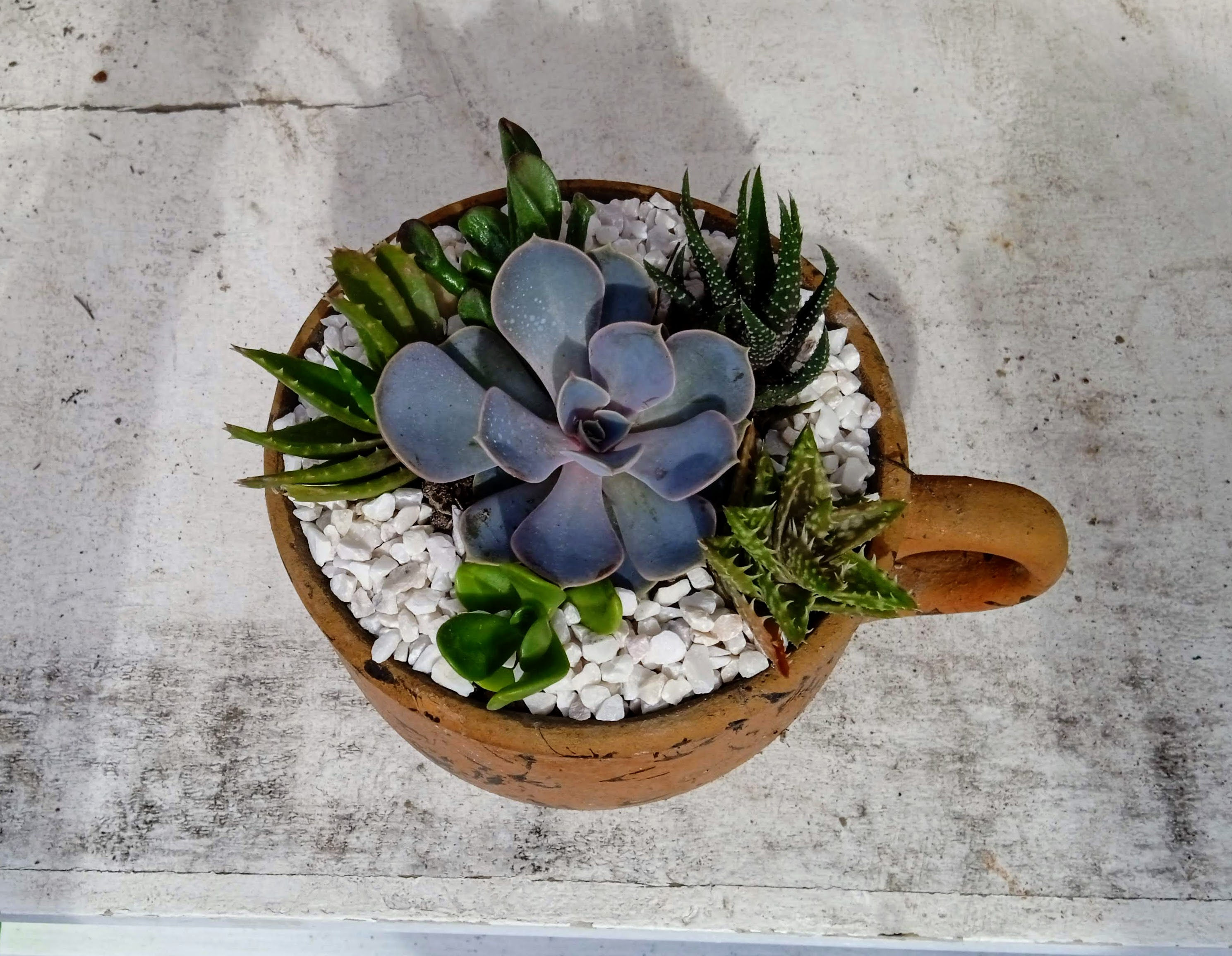 Taza de barro