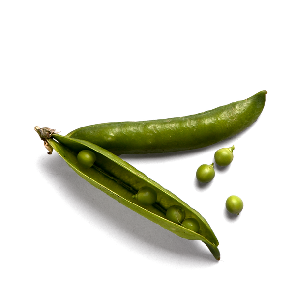 peas-1.png