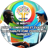 30 minutes gratuites conseil CAP2030 - Nicolas Méron Guadeloupe
Entretien pour se comprendre et s'accorder