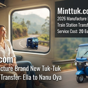 Ella to Nanu Oya Train Transfer