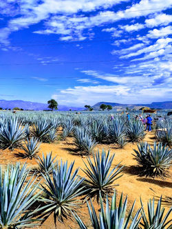 WhatsApp Image 2024-02-13 at 18.14.56_fff42f6e