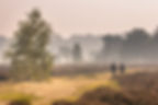 People walking along path through heathland on a morning in october under autumn light. Ot