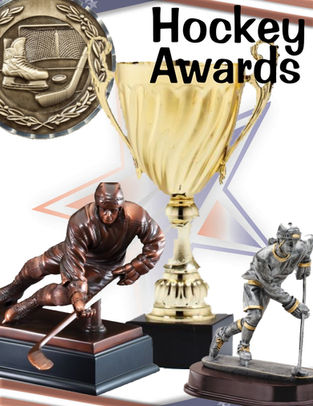 Hockey Awards provided by us.