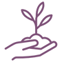 olive.png