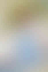 Senior female sitting on blanket  at Gillson Beach — graduation photographer Wilmette Chicago North Shore