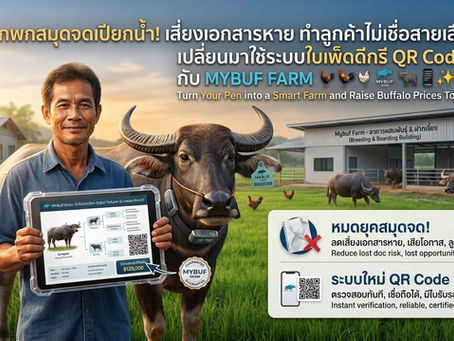 เลิกพกสมุดจดเปียกน้ำ! เสี่ยงเอกสารหาย ทำลูกค้าไม่เชื่อสายเลือด... เปลี่ยนมาใช้ระบบใบเพ็ดดีกรี QR Code ฟรี กับ MYBUF FARM 🐃📱✨