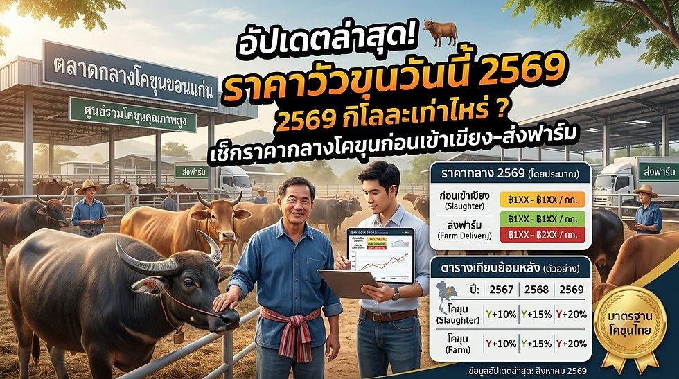 อัปเดตล่าสุด! 🐂 ราคาวัวขุนวันนี้ 2569 กิโลละเท่าไหร่ เช็กราคากลางโคขุนก่อนเข้าเขียง-ส่งฟาร์ม
