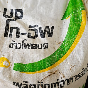 ผิวข้าวโพด