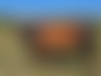 ​🐂 ประเภทวัวที่หาได้ในราคาประมาณ 5,000 บาท