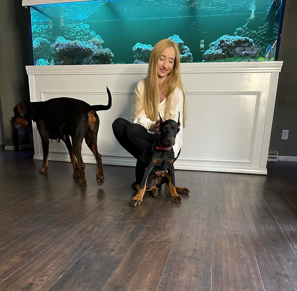 Macy1_edited.jpg