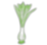 Hoja-cebollin.png