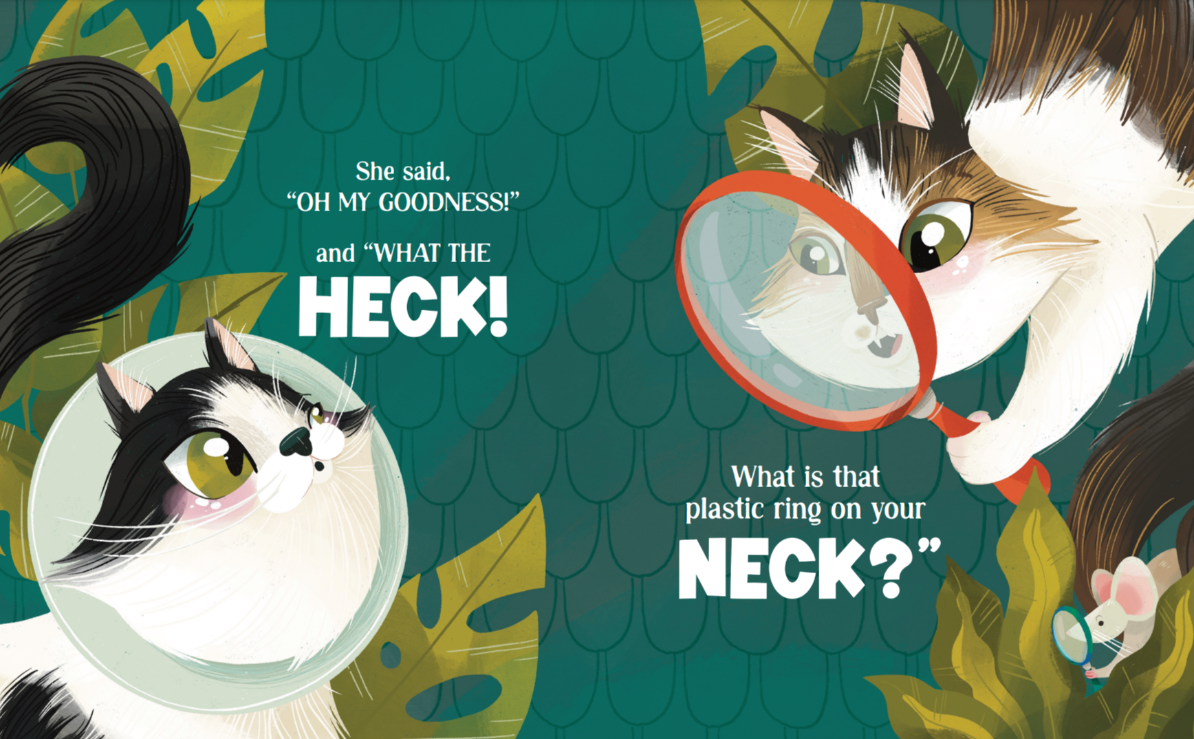 Cece & The Cone of Compassion: First Edition Hardcover