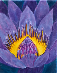 lotus flower purple .jpeg