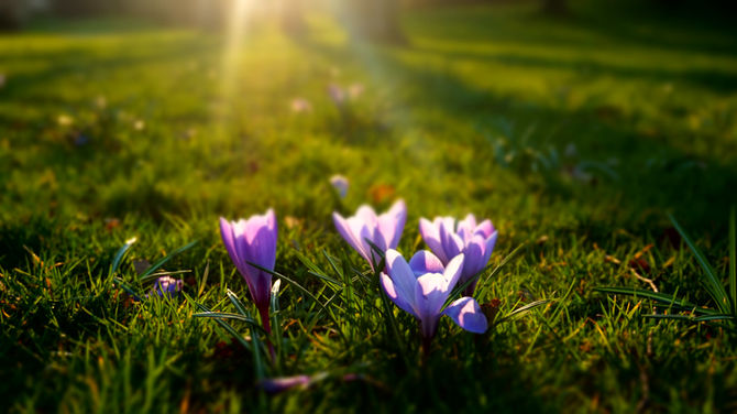 Welcome Spring!