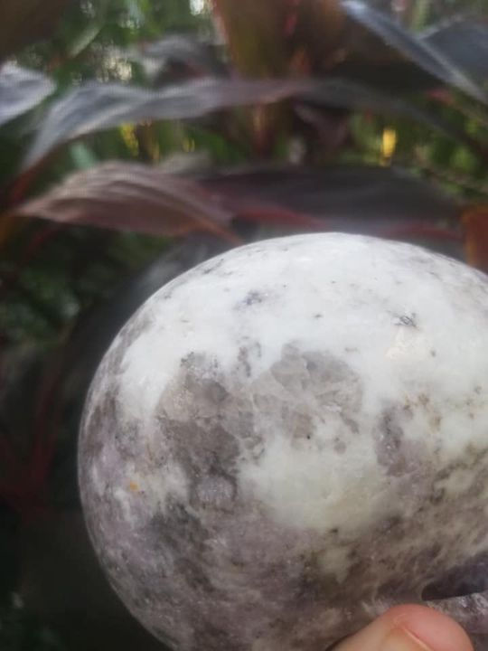 Thumbnail: 5" Lepidolite Skull