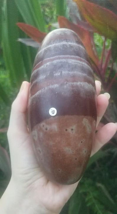 Thumbnail: Shiva Lingham