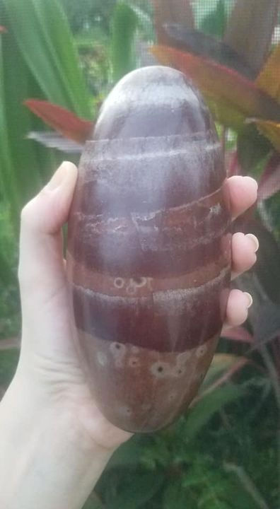 Thumbnail: Shiva Lingham