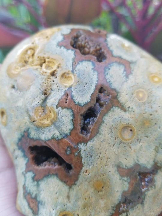 Thumbnail: 4.2" Occular Ocean Jasper Starry