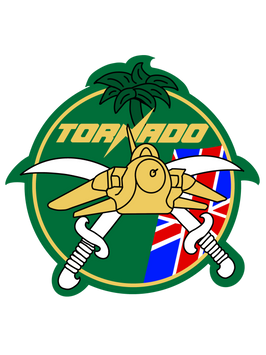 Gulf War 1 Desert Storm Operation Granby Iraq Kuwait Air Operations Nose Art T-shirt art Groundcrew Aircrew Badge Patch Panavia Tornado