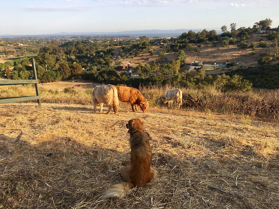 Waylon, Heather and Sage