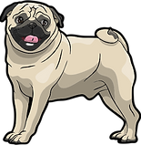 PUG.png