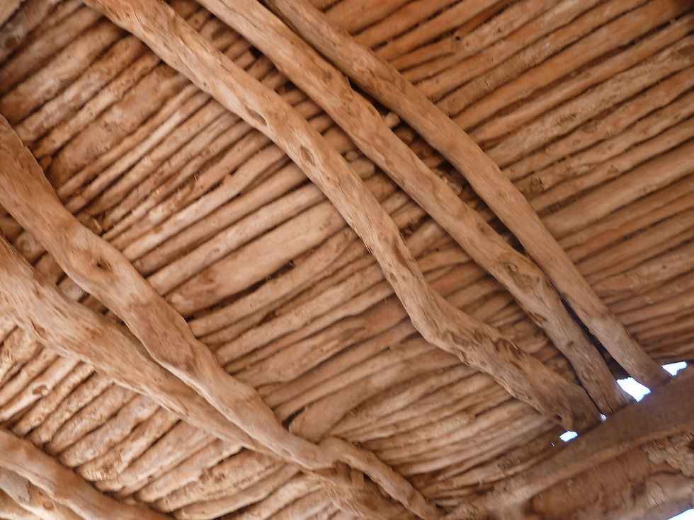 Plafond de bois d'arganier