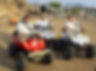 Buggy
