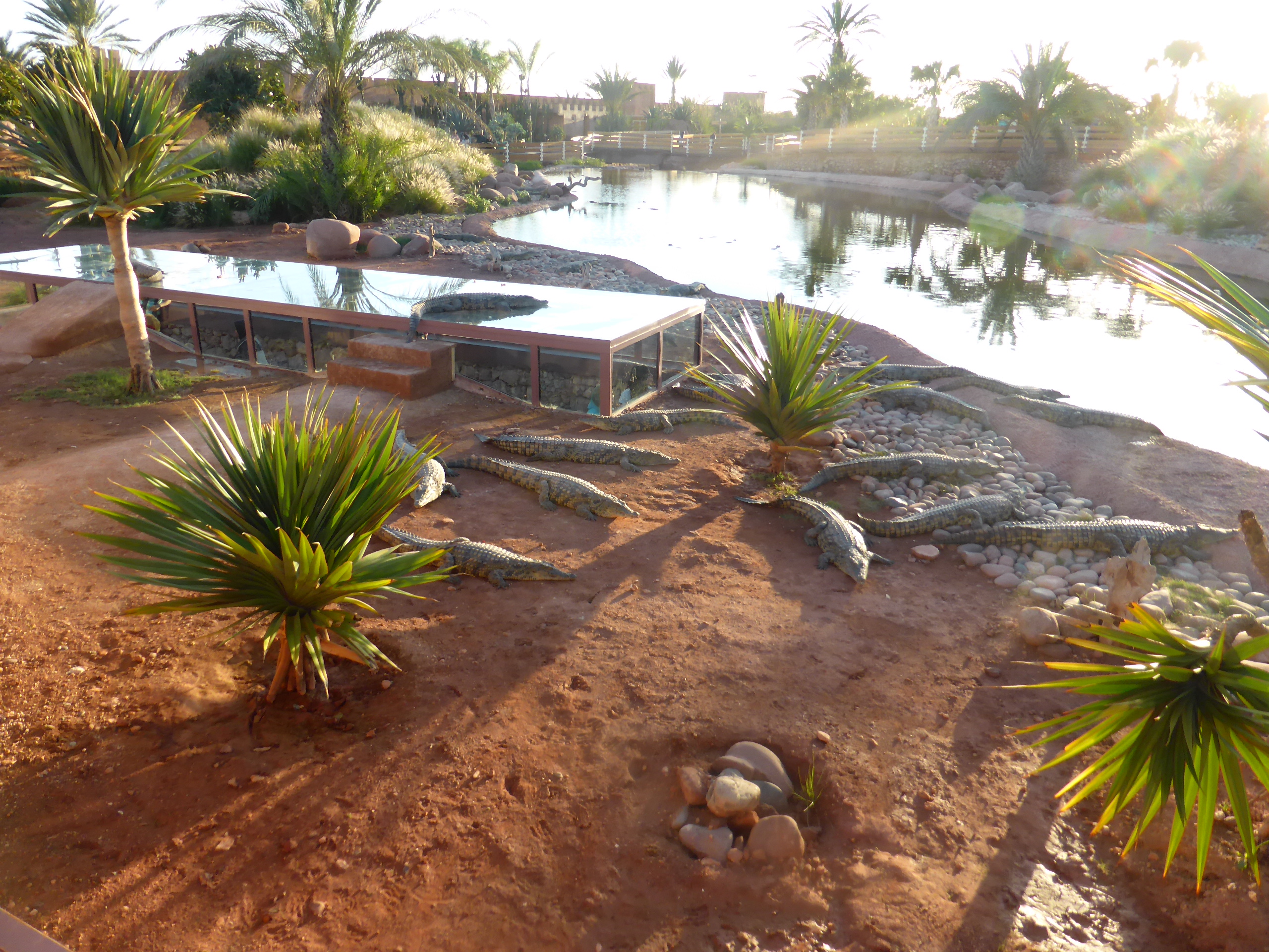 Croco Parc