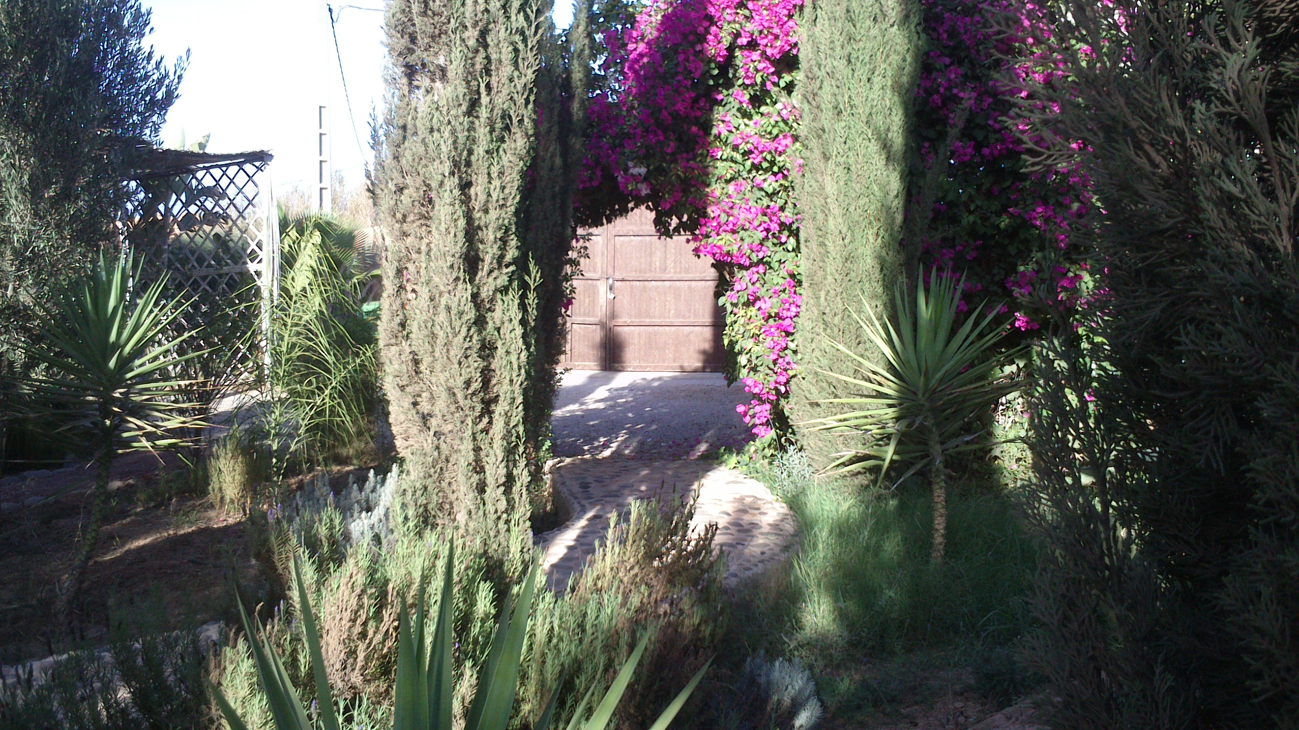 Extraordinary garden