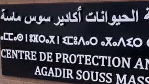 Le Centre de protection animalier d'Agadir Souss Massa.