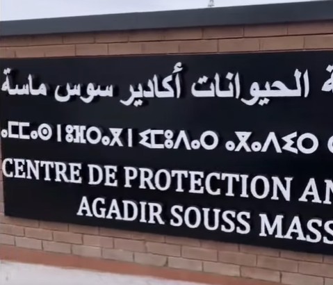 Le Centre de protection animalier d'Agadir Souss Massa.