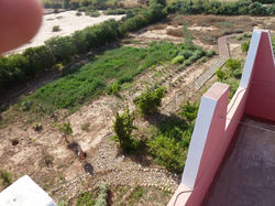 Path from the West Sun