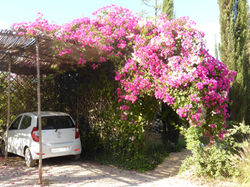 25 % de rabais sur votre voiture